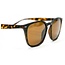 Korda Shoreditch - Matt Tortoise Shell/ Brown Lens