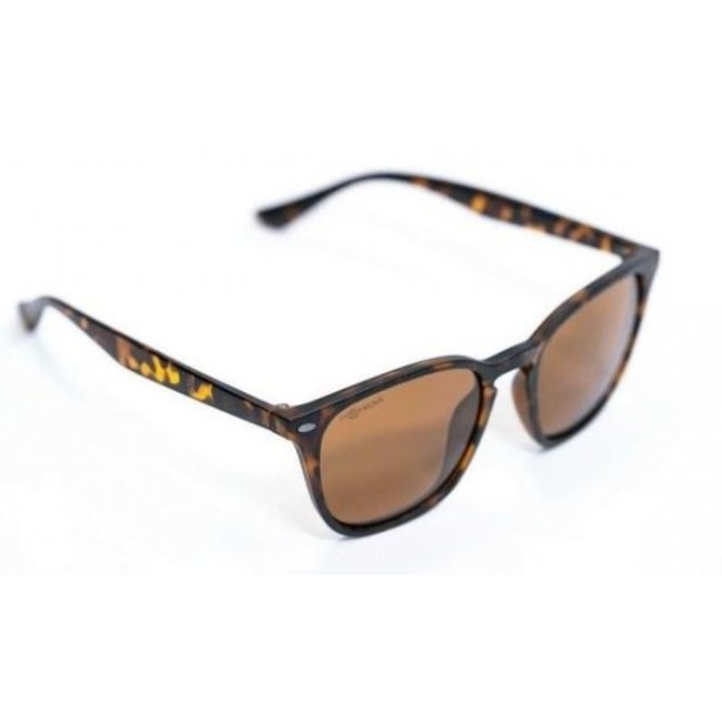 Korda Shoreditch - Matt Tortoise Shell/ Brown Lens
