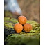 CC Solution Boilies InStecto 20KG Box Deal | Voordeel pakket