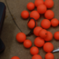 CC Solution Boilies InStecto - Fluo Pop ups - Oranje