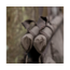 Avid Carp PRO-Tect Flotation Sling