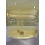 CC Solution Boilies Honey Citrus Booster Tabs - 9mm - ca. 95 stuks