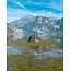 Nash Titan Hide Camo Pro - Fully Loaded Deal - 1 man - bivvy