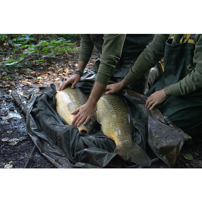 Sonik Bank-Tek Unhooking Cradle