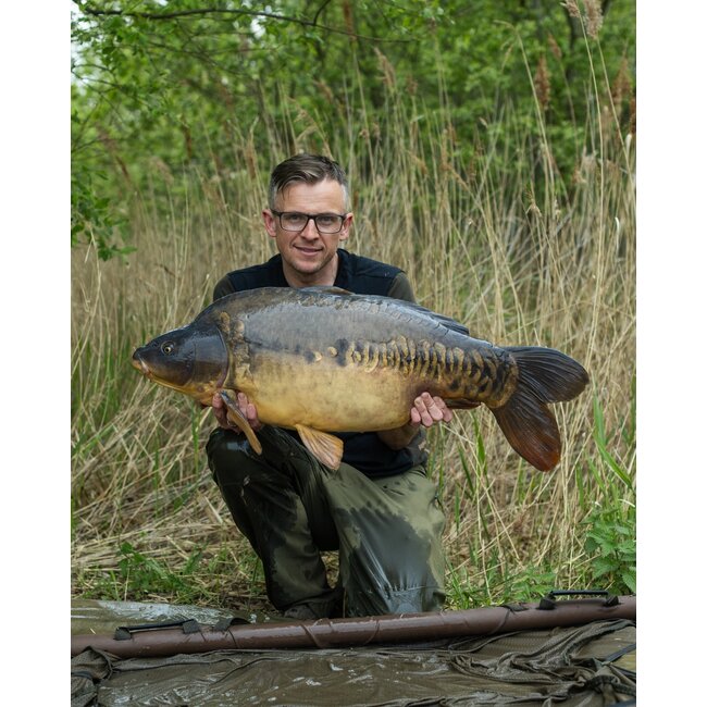 Mainline ISO Fish Boilies Bulk Deal - 20KG