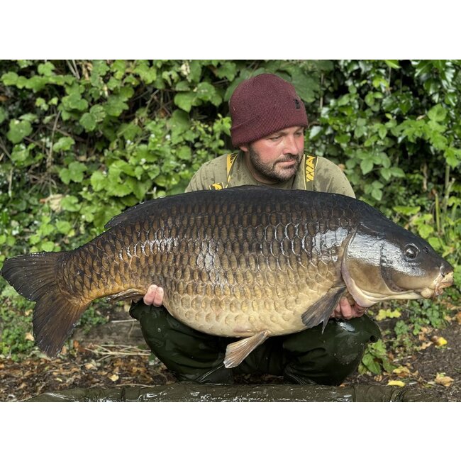 Mainline ISO Fish Boilies Bulk Deal - 20KG