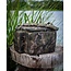 FOX Camolite Compact Carryall - 33L draagtas met externe vakken en Fox Camo design