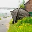 Nash Titan Hide Camo Pro XL - Fully Loaded Deal - 1 man - bivvy