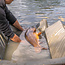 Avid Carp Pro-Tect Deluxe Cradle - Onthaakmat