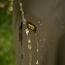 Avid Carp Revolve Waterproof Suit - Regenpak