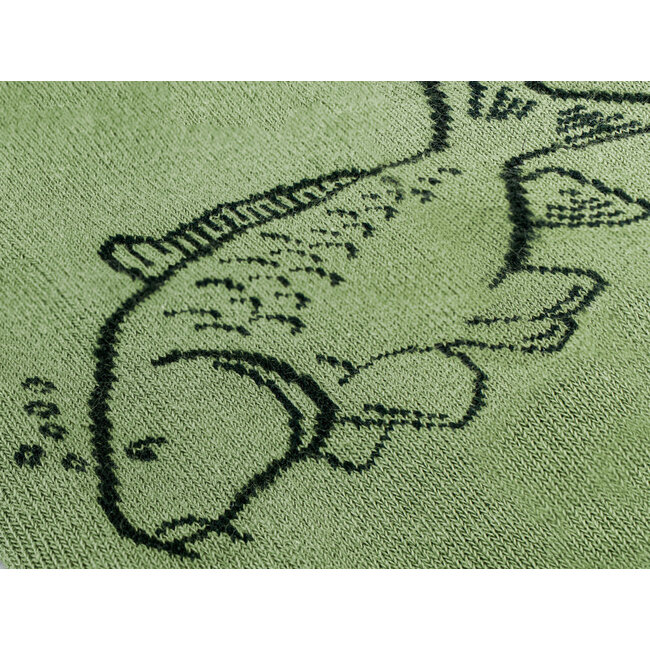 Delphin Happy Fishing - Karper Sokken - Comfortabel - Maat 41-46 - Groen