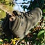 Nash ZT Trail Schoenen - Waterdichte Wandelschoenen voor Elk Weer