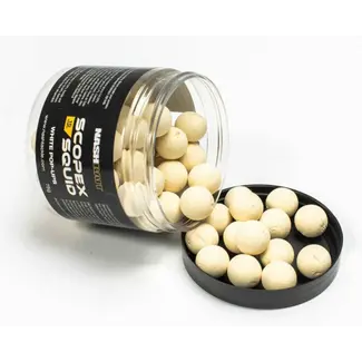 Nash Scopex Squid Pop Ups - 20mm