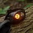 RidgeMonkey VRH150X Pro USB Rechargeable Headtorch