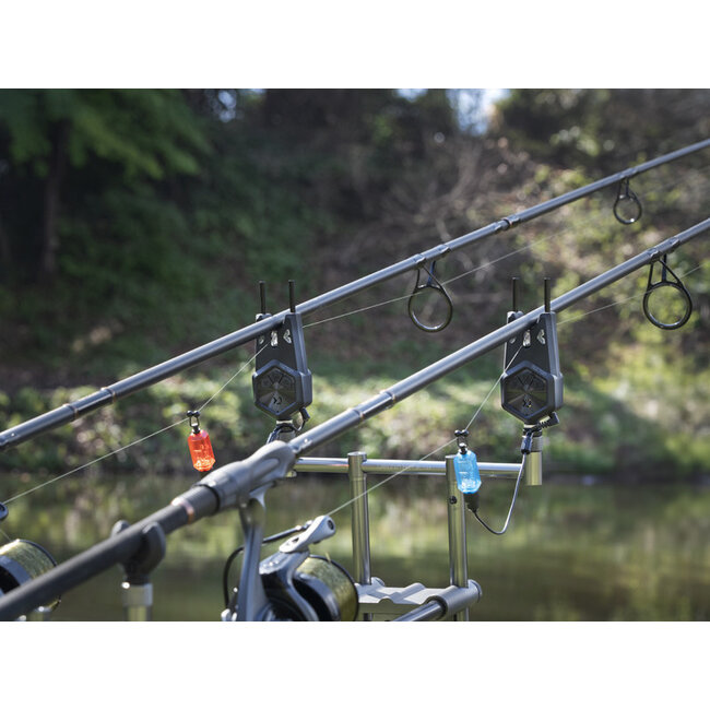 Delphin Tecton - Beetmelder Set