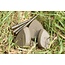 Korda Flatliner Pear Inline Lood