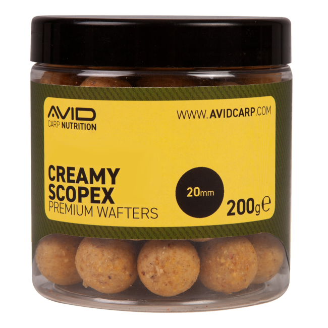 Avid Carp Creamy Scopex - 20mm - Wafters