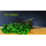 Sticky Tigernuts Garlic & Green Lipped Mussel - 3KG - Kant en Klare Tijgernoten