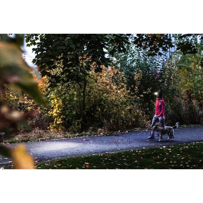 Ledlenser HF4R Core - Hoofdlamp - 500 Lumen - Oplaadbaar