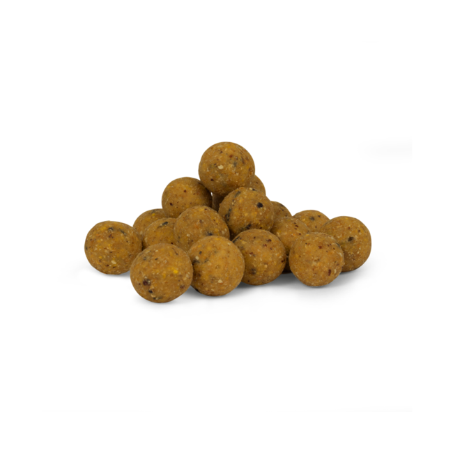 Avid Carp B8-Up - Cream - 5KG - 20mm - Scopex - Voerboilies