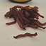 CC Solution Boilies Real Ones - Bloodworm – Realistisch jelly imitatie-aas