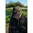 Korda Dawn Trucker Cap - Black