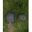 Trakker Tempest RS 200 - Social Cap - Camo - Aquatexx™ - Voortent Uitbreiding