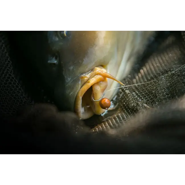 Nash Claw Haak - Pinpoint Power Forge - Universeel - Karperhaak