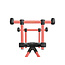Delphin Queen - Bronx StalX - 2 Rod Pod