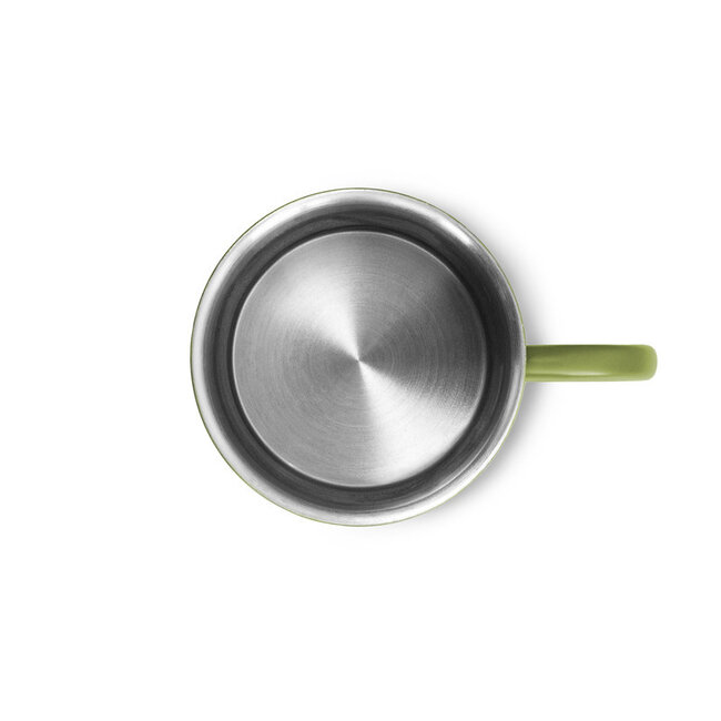 Delphin RVS Karper mok