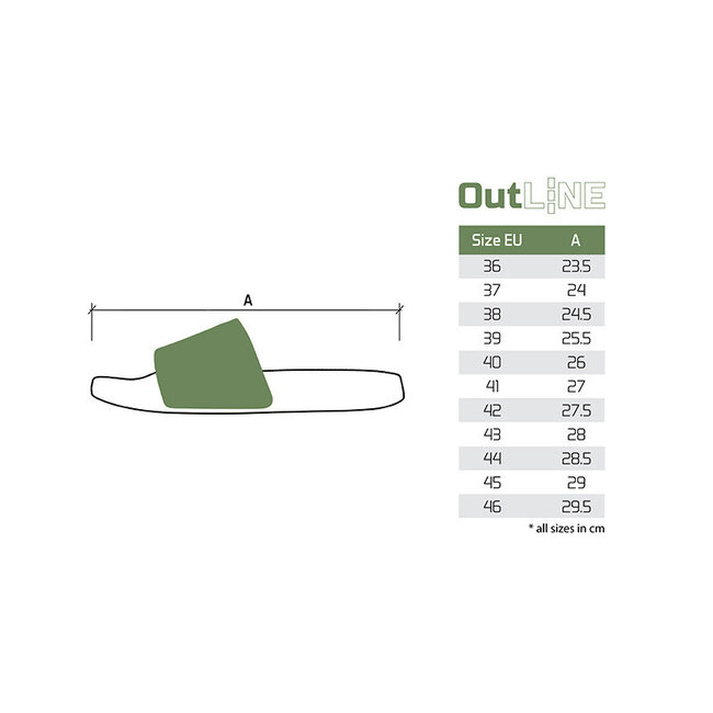 Delphin Slide Sanders - Carp Outline - Slippers