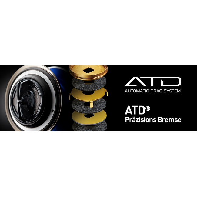 Daiwa 19 BLACK WIDOW BR LT 5000-C - Vrijloop