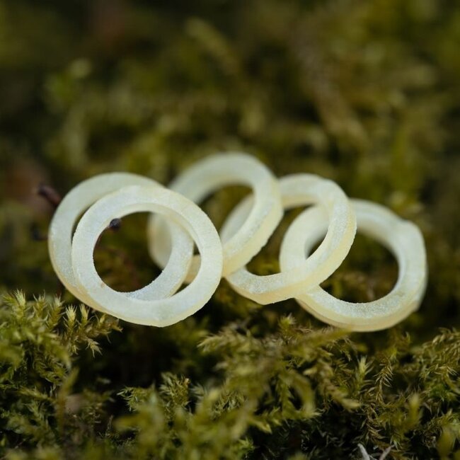 PB Products X-strong Bait Bands