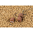 Sonubaits Pellet O'S 8mm - Crab