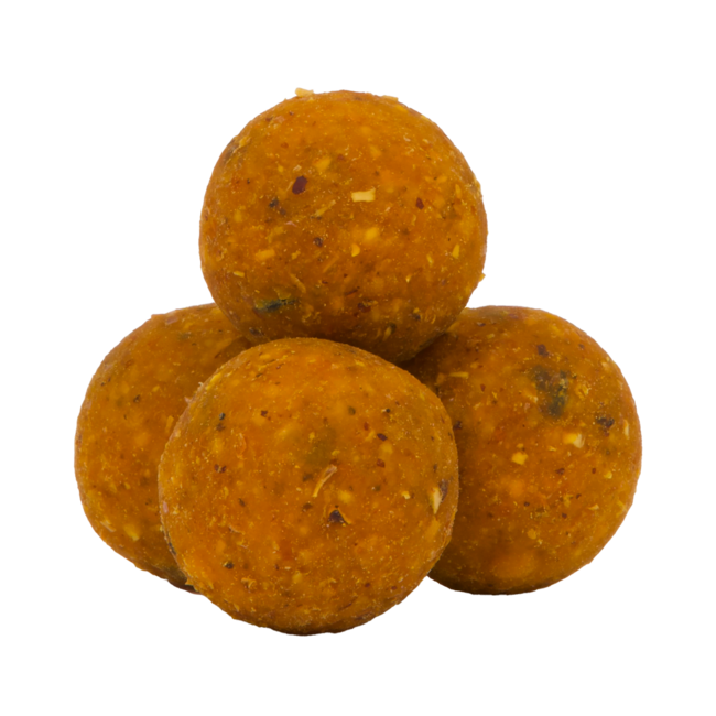 Avid Carp Creamy Scopex - 1KG - Boilies