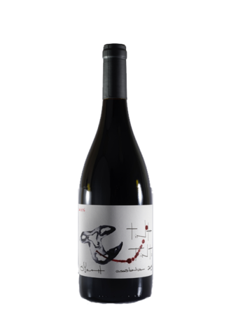 Tinta Tinto Syrah 2019 Casablanca