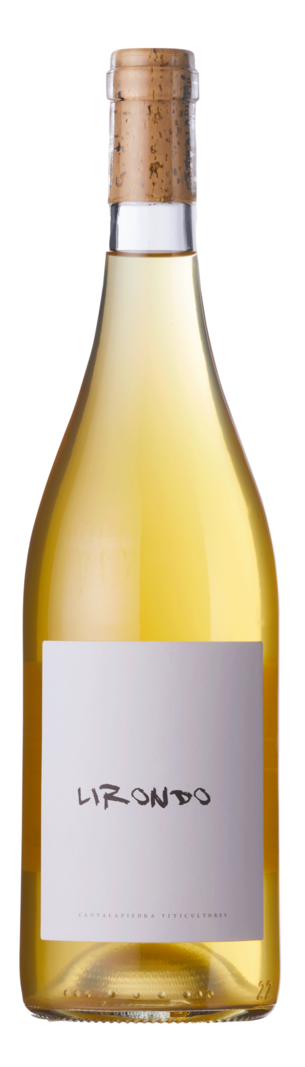 Isaac Cantalpiedra Isaac Cantalapiedra, Lirondo Blanco 2020 Rueda