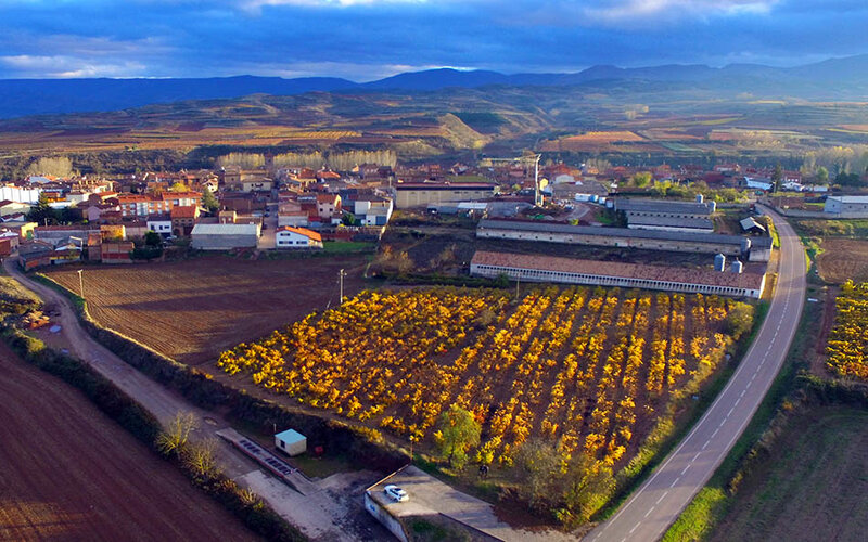 Rulei Viña El Moral, Viñedo Singular 2019 Rioja