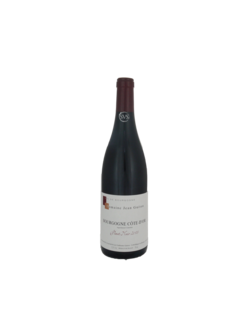 Domaine Jean Guiton Bourgogne 'Cote d’Or' 2021 Burgundy