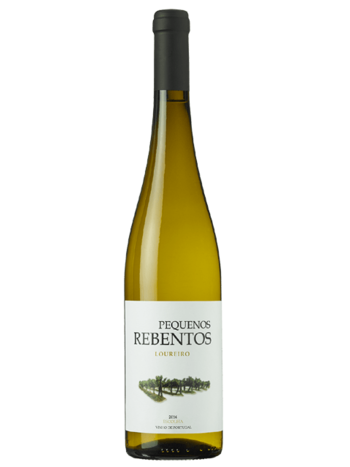 Marcio Lopes Pequenos Rebentos Loureiro 2024 Vinho Verde