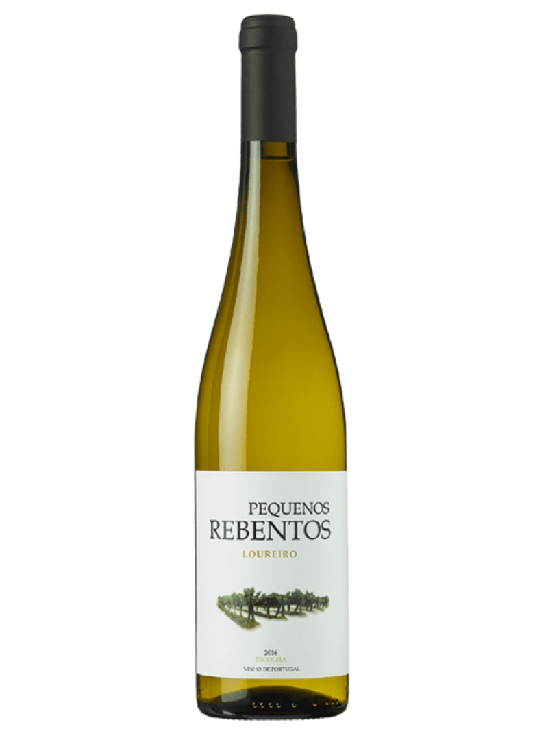 Marcio Lopes Pequenos Rebentos Loureiro 2022 Vinho Verde