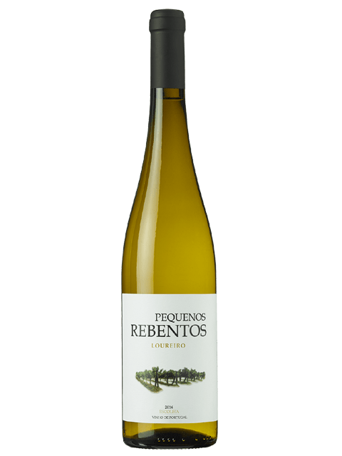 Marcio Lopes Pequenos Rebentos Loureiro 2024 Vinho Verde