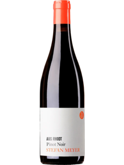 Stefan Meyer Pinot Noir 'Aus Rhodt' Trocken 2022 Pfalz