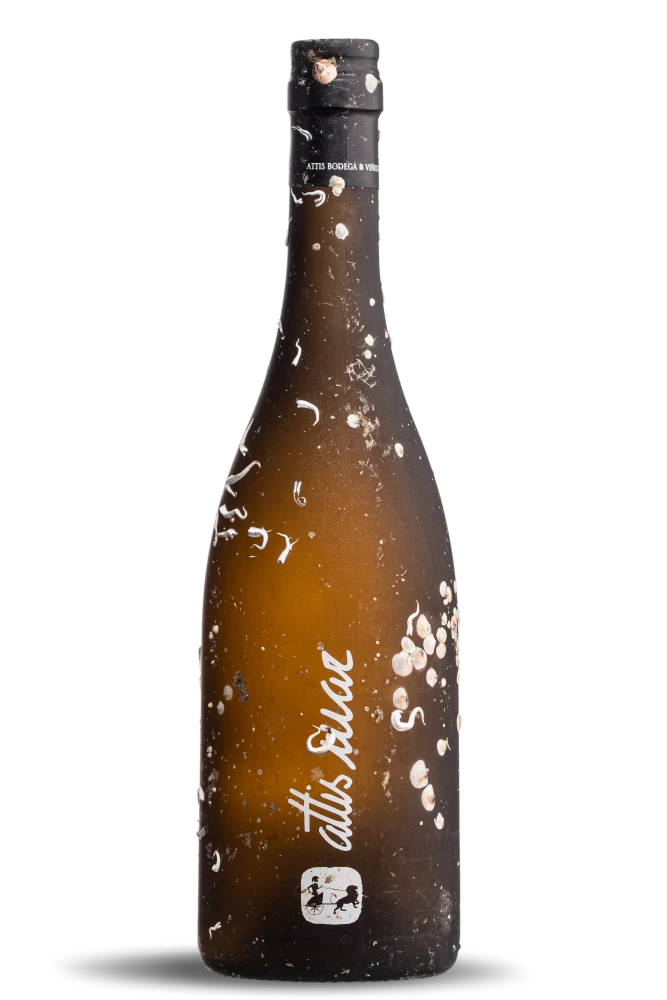 Attis Bodegas Y Viñedos Mar 2022 Rías Baixas