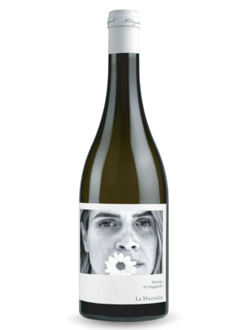 Il Poggiarello La Malvagia Malvasia 2022 Emilia