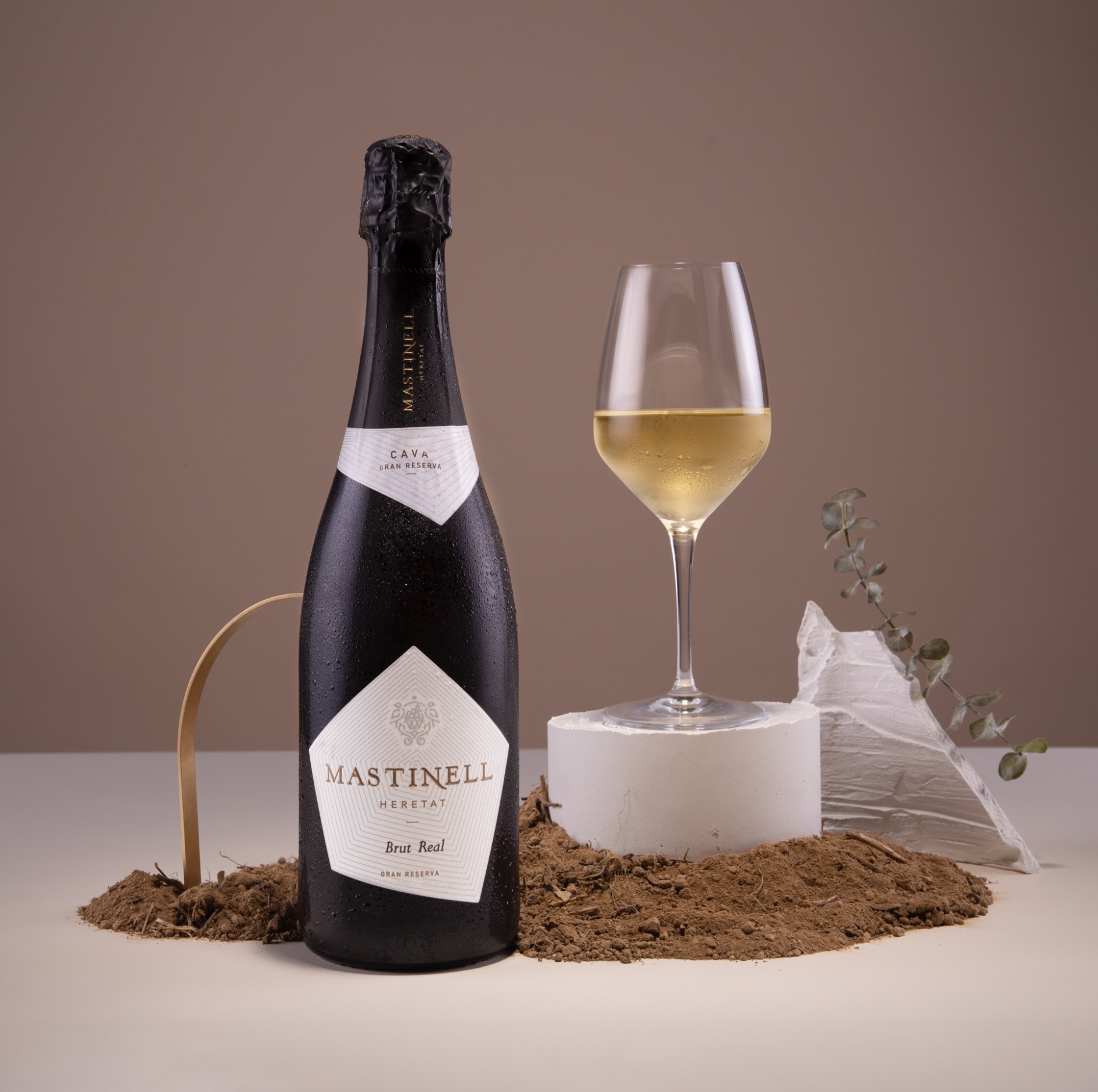 Cava Mastinell Brut Real Gran Reserva 2015 Penedes