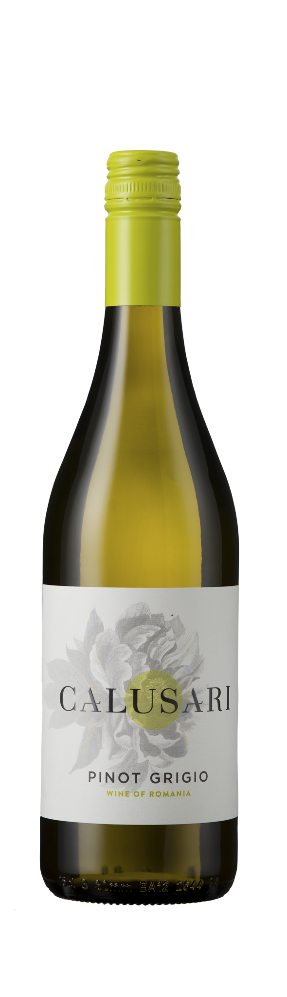 Calusari Pinot Grigio 2024 Romania