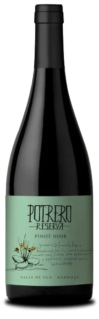 Vinos de Potrero Reserva Pinot Noir 2022 Uco Valley