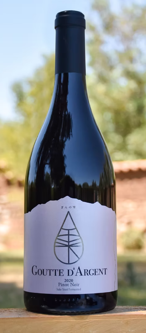 Viña Marty Goutte D'Argent Pinot Noir 2022 Chile