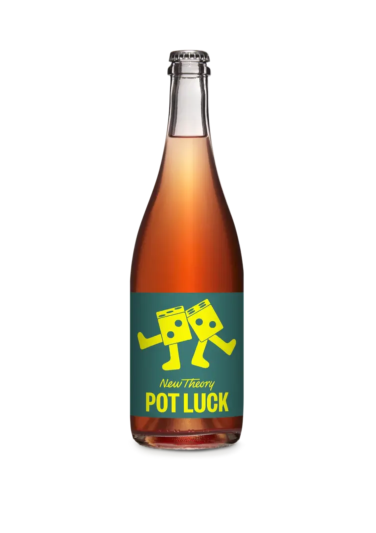 New Theory Pot Luck Pinotage Pet Nat 2023 Stellenbosch